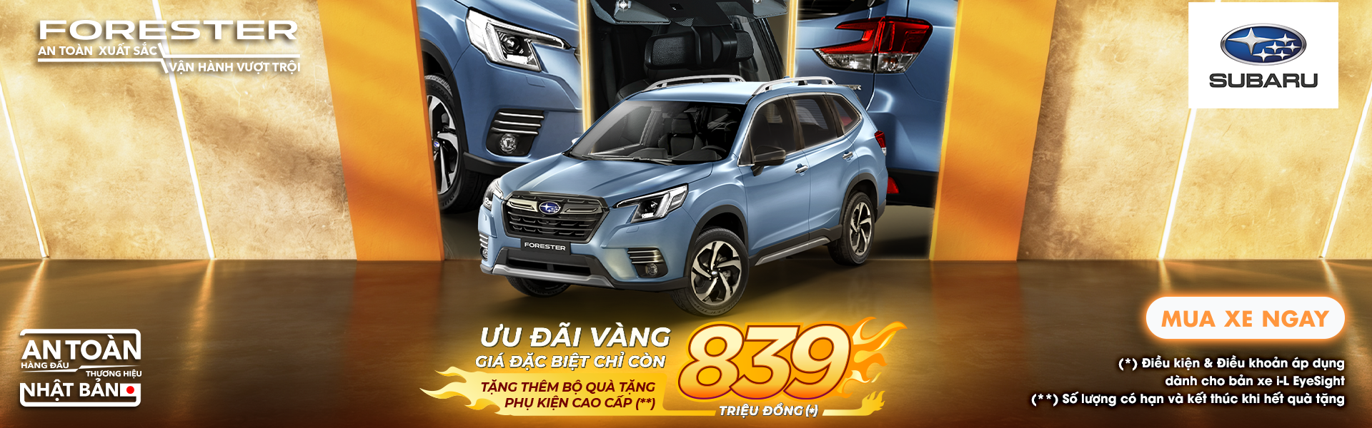 Promotion Banner