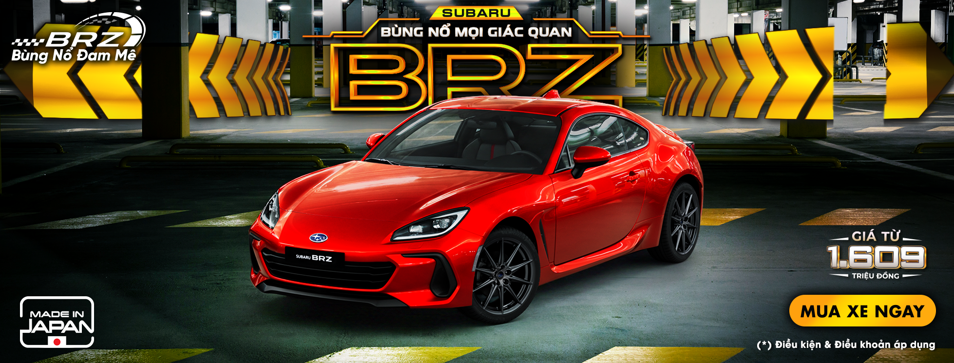 Promotion Banner