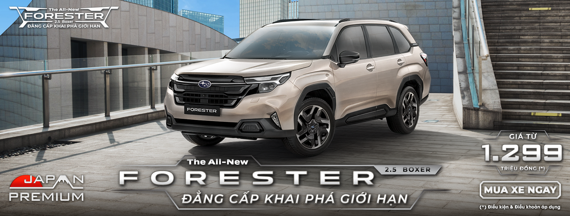Promotion Banner