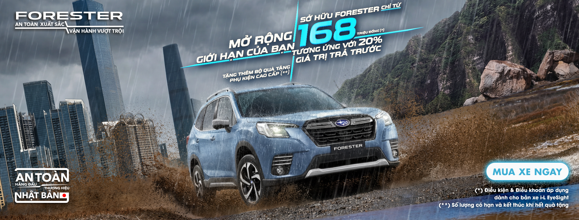 Promotion Banner