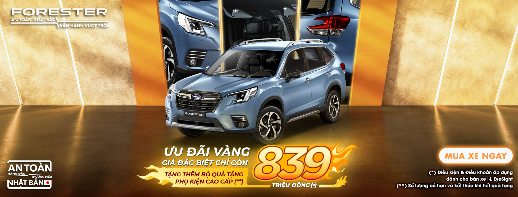 Promotion Banner