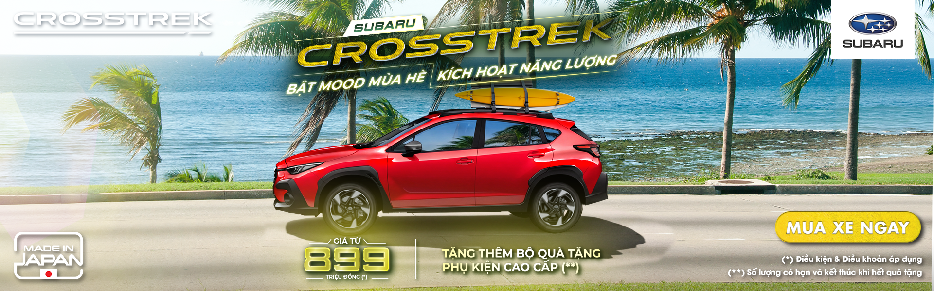 Promotion Banner