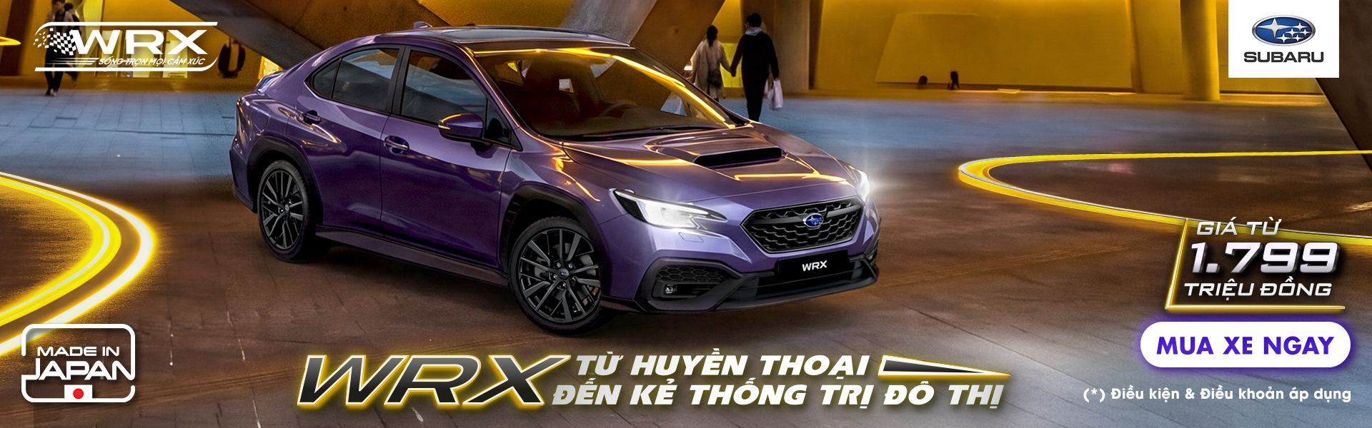 Promotion Banner