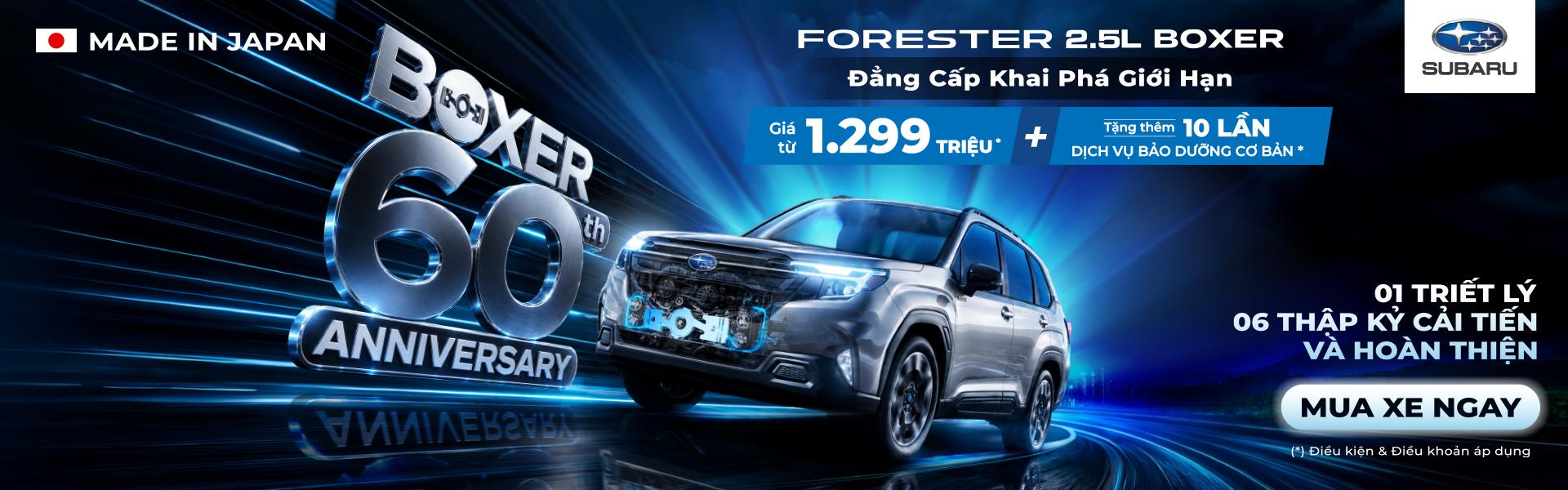 Promotion Banner