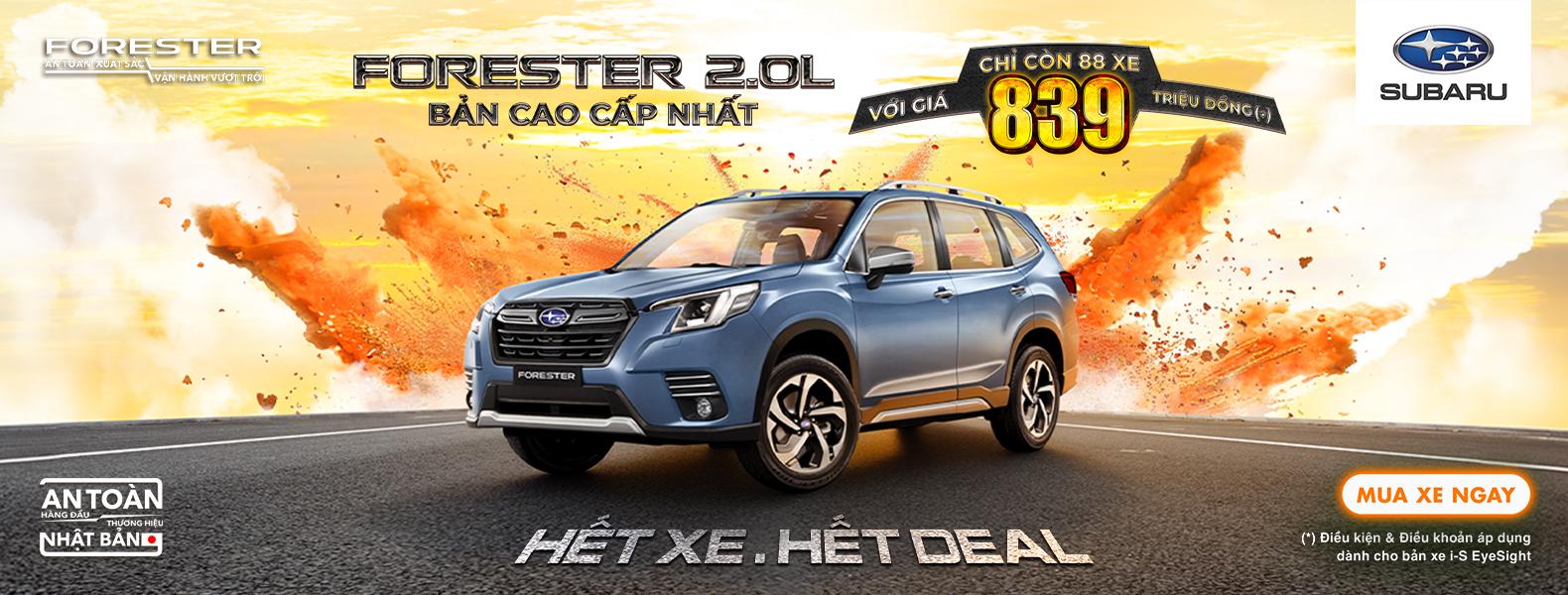 Promotion Banner