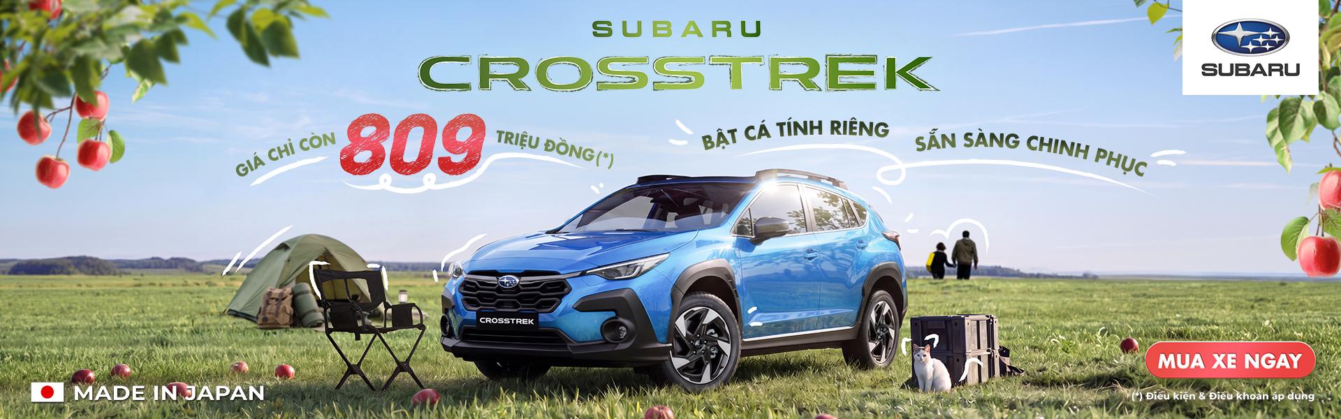 Promotion Banner