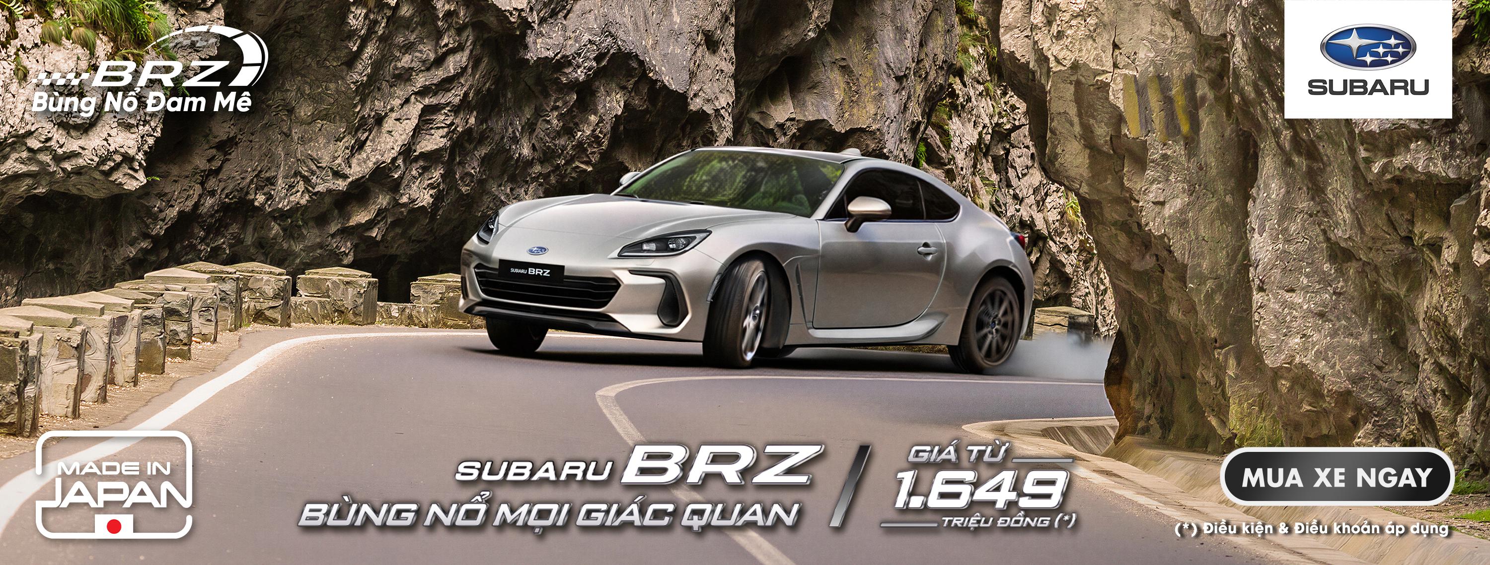 Promotion Banner