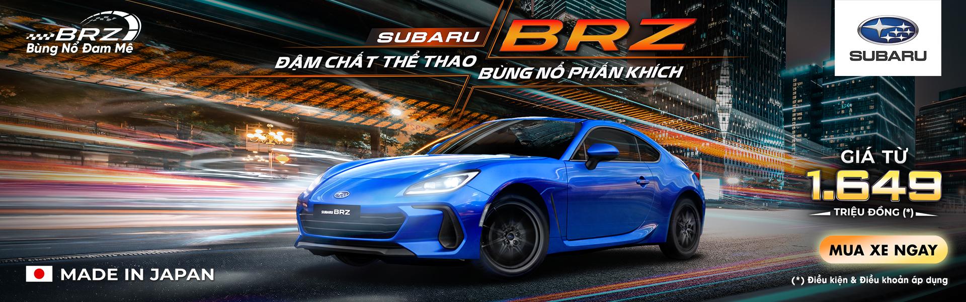 Promotion Banner