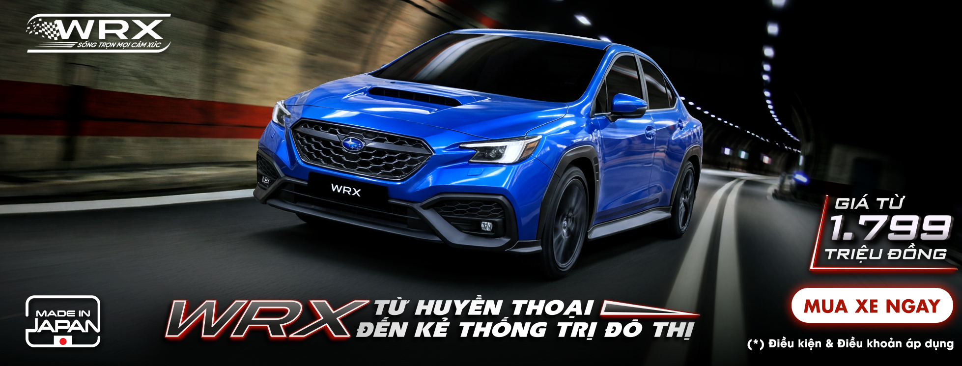 Promotion Banner