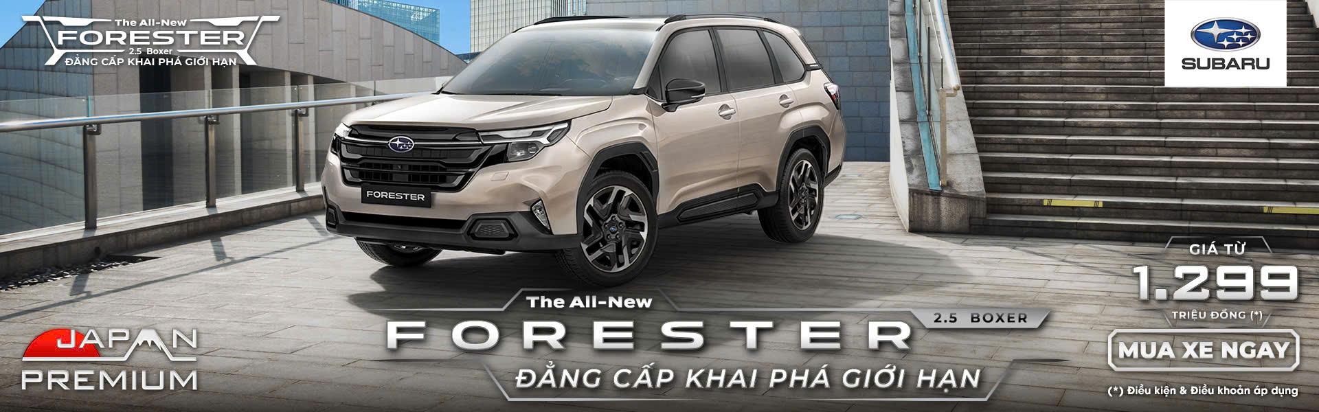 Promotion Banner